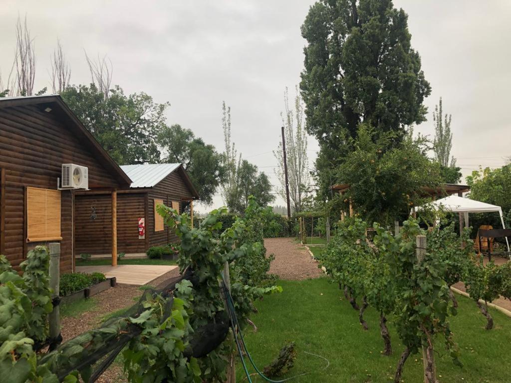 Ferienwohnung Entre Vinedos Lujan de Cuyo Exterior foto